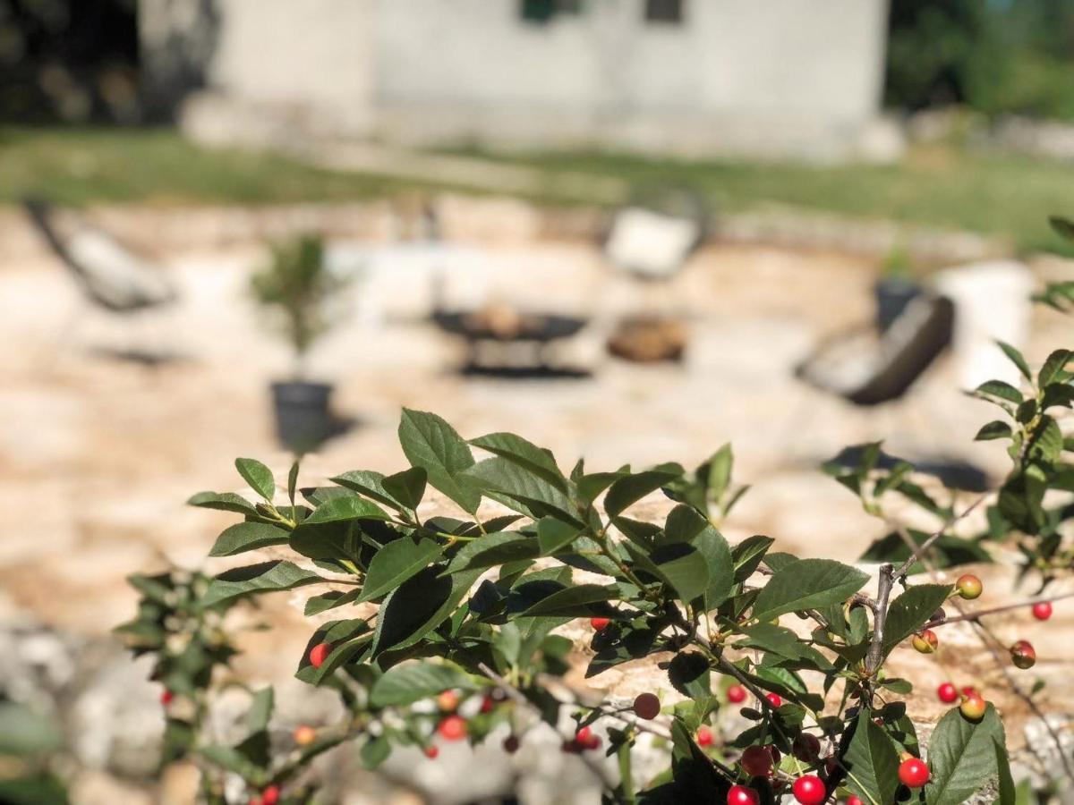 Villa Marie With Pool, Two Bedrooms For 4+2Kids Cavoglave Εξωτερικό φωτογραφία